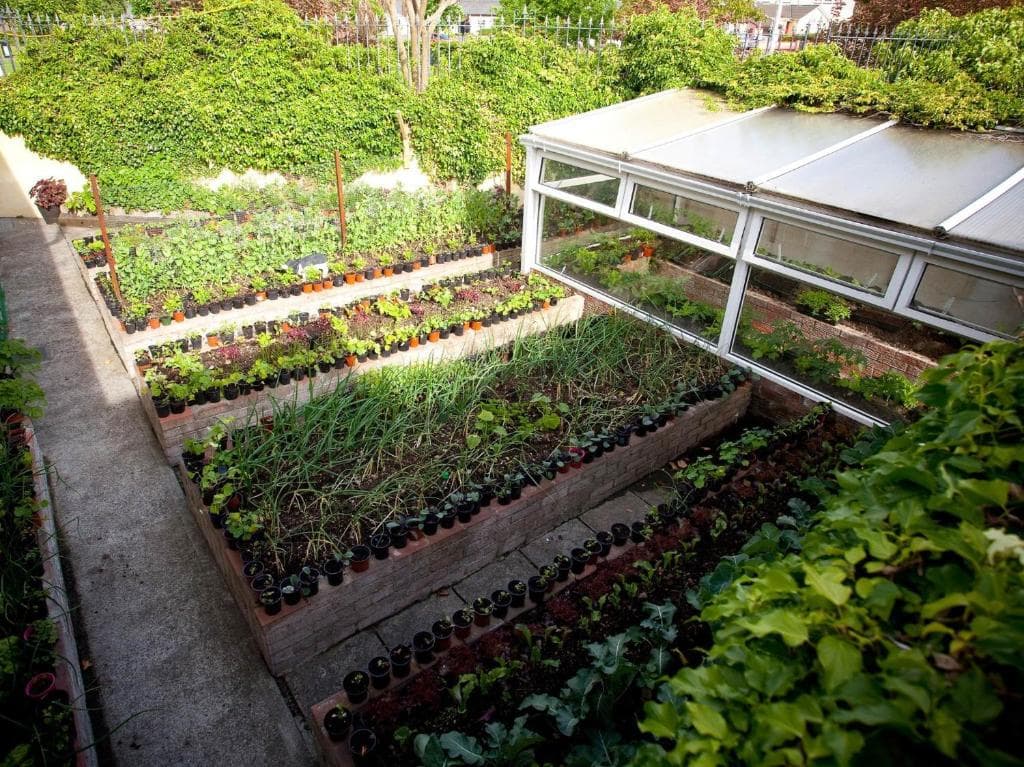 The patio looking onto the flower garden